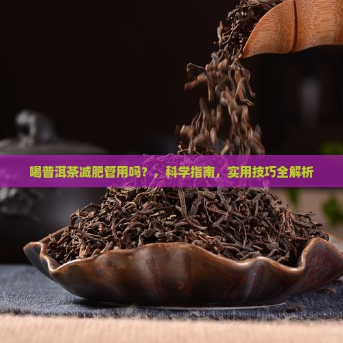 喝普洱茶减肥管用吗