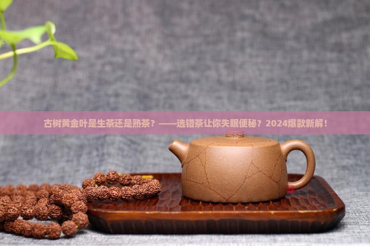古树黄金叶是生茶还是熟茶