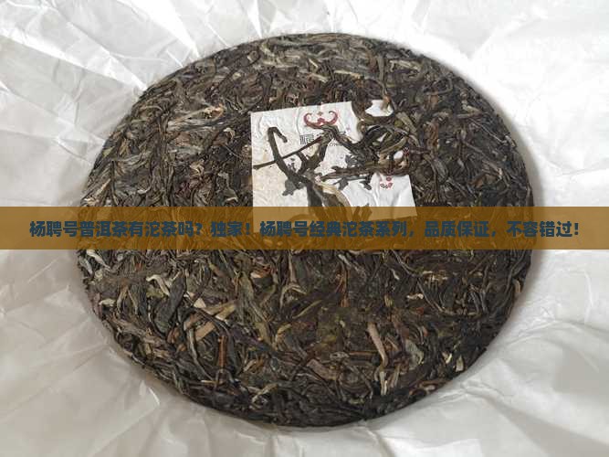 杨聘号普洱茶有沱茶吗