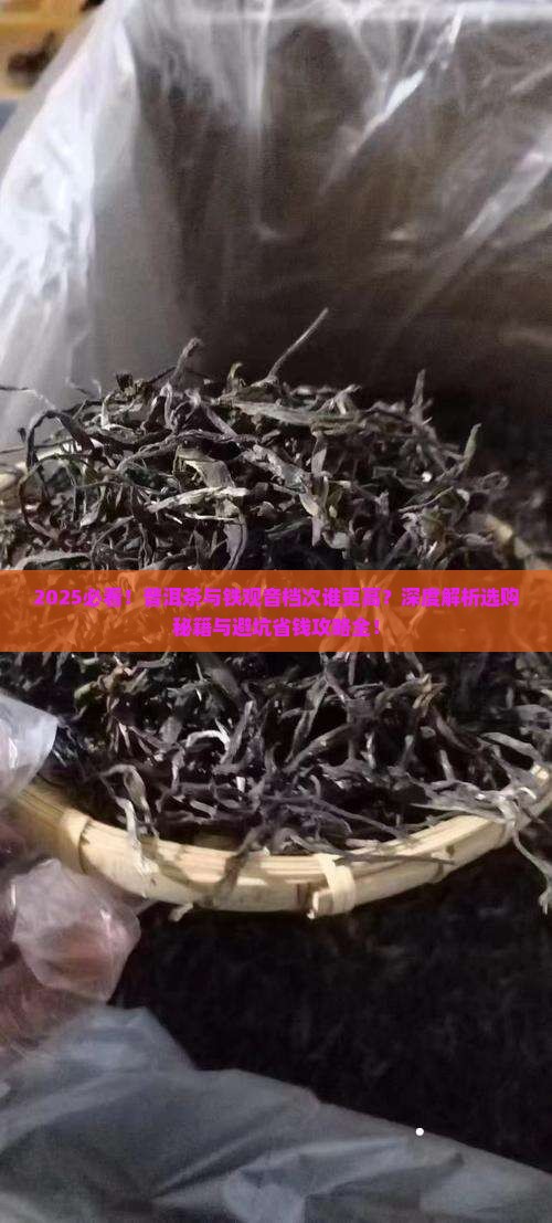 普洱茶跟铁观音档次哪个高