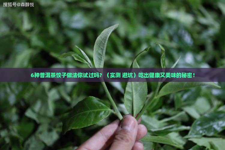 普洱茶饺子配方