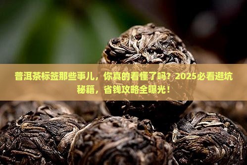 普洱茶标签问题分析