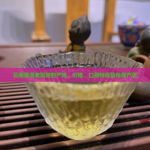 云南普洱老班章的产地