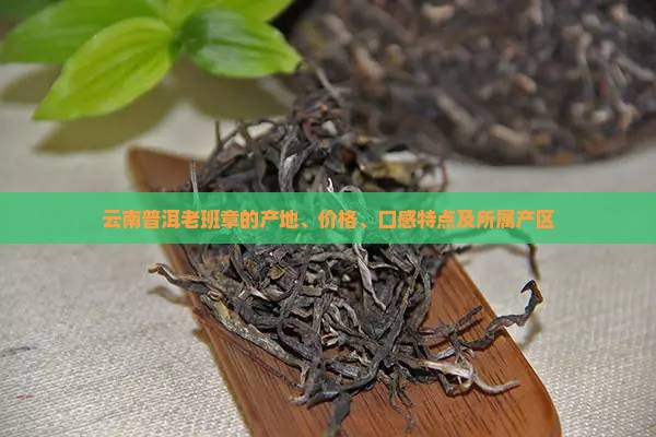 云南普洱老班章的产地