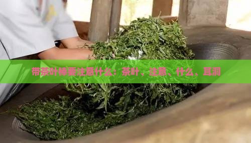 带茶叶棒要注意什么