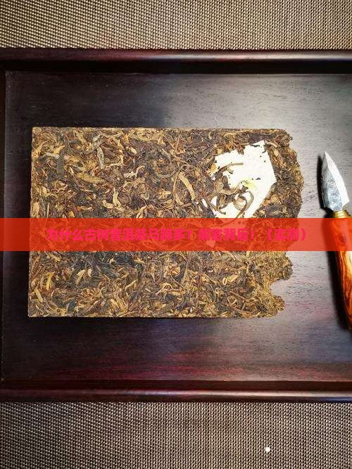 为什么古树普洱茶马蹄多