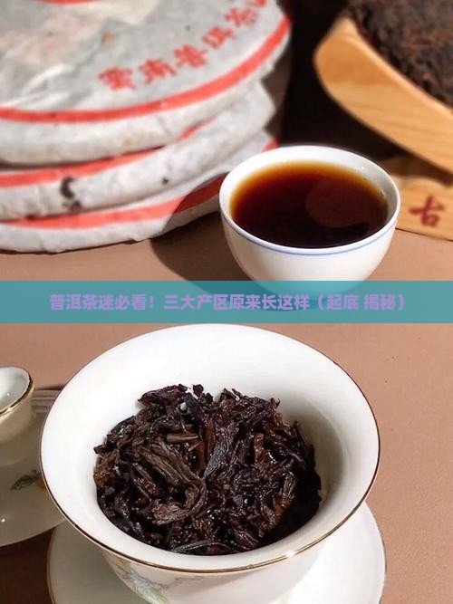 普洱茶主要的三大产区是哪里