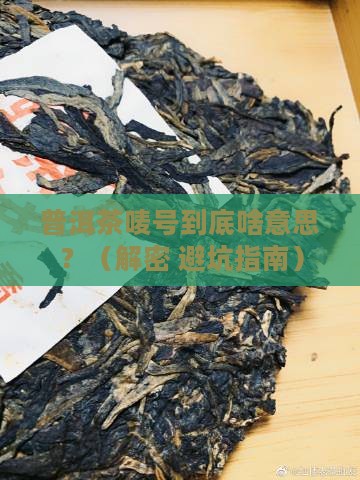 普洱茶唛号代表什么意思