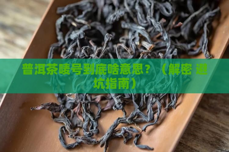 普洱茶唛号代表什么意思