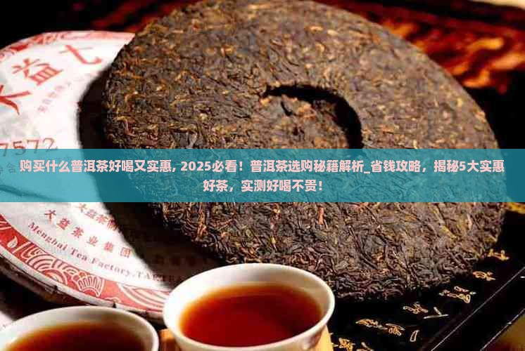 购买什么普洱茶好喝又实惠