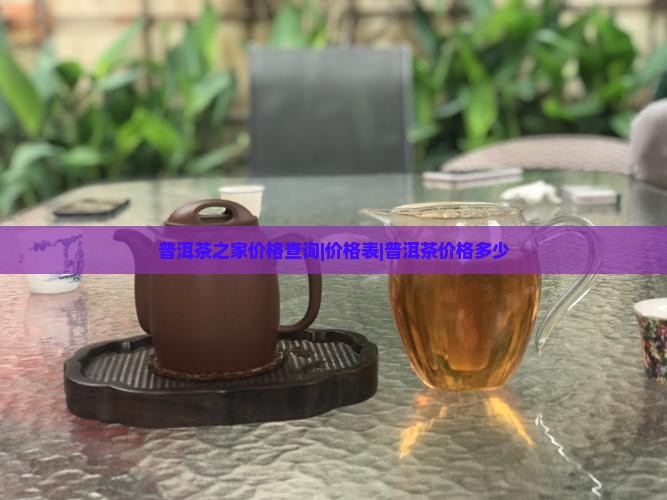 普洱茶之家价格