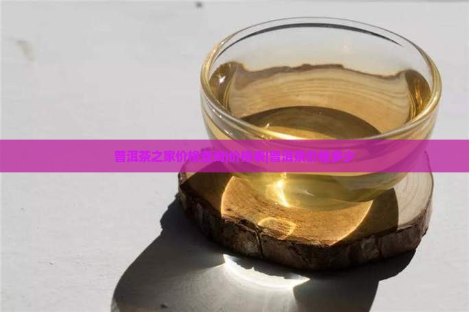 普洱茶之家价格