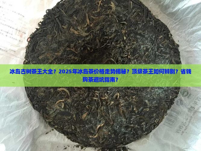 冰岛古树茶王大全