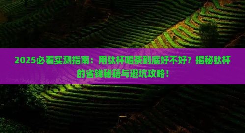 用钛杯喝茶好不好