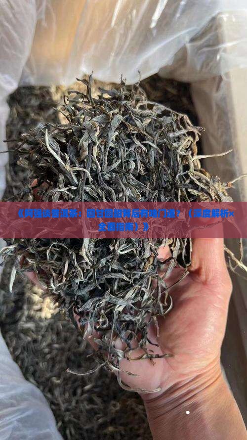 阿强谈普洱茶的回甘与回甜