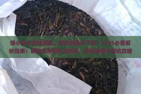 像小窝头的普洱茶