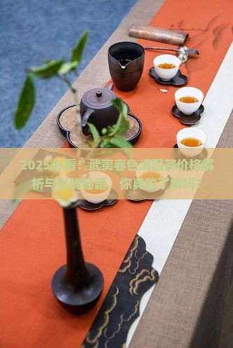 武夷春色满园茶价格