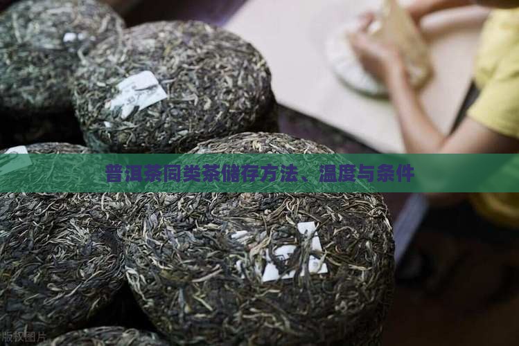 普洱茶同类茶储存