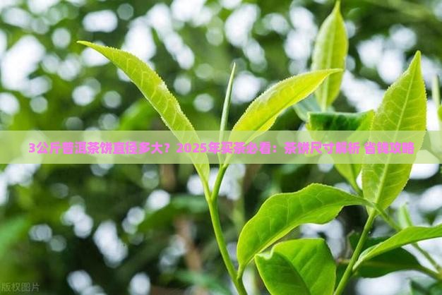 3公斤普洱茶饼直径多大