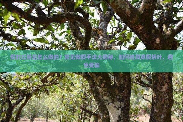 假的红茶是怎么做的