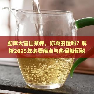 勐库大雪山茶种