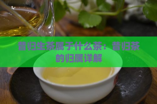 昔归生茶属于什么茶