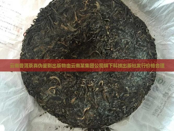 12年云南普洱茶