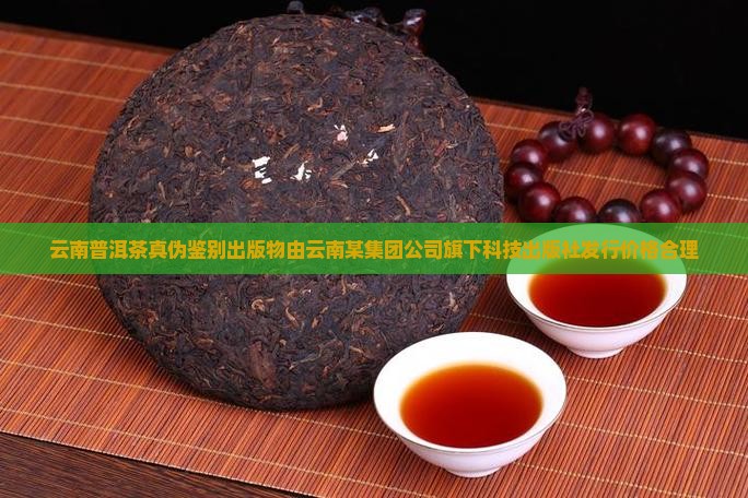 12年云南普洱茶