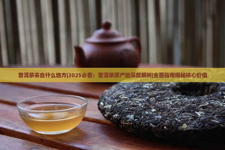 普洱茶来自什么地方