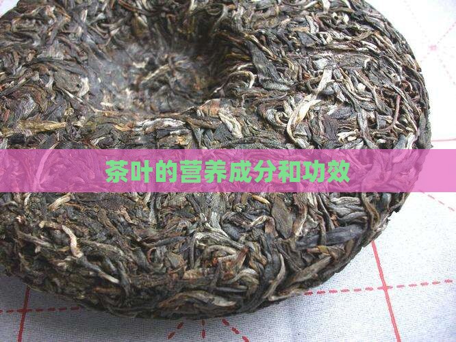 茶叶的营养成分和功效