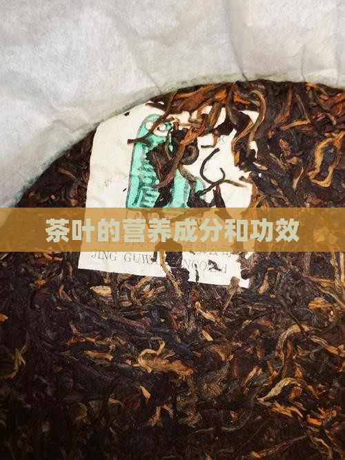 茶叶的营养成分和功效