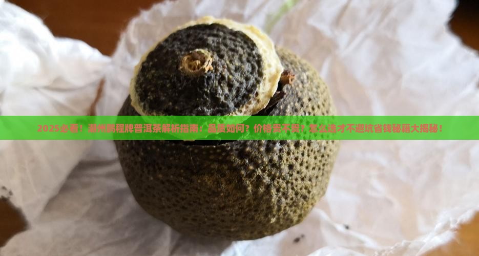 潮州鹏程牌普洱茶