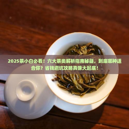 六大茶类的综合对比