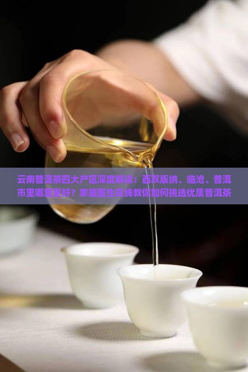 云南普洱茶产区哪个好