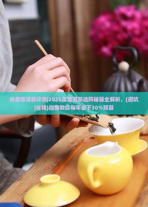 尚善普洱茶评测