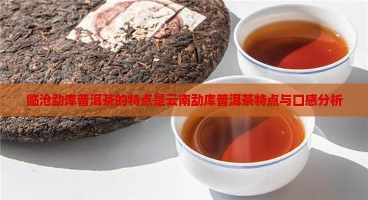 临沧勐库普洱茶的特点是