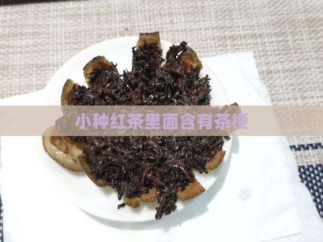 小种红茶里面有茶叶梗
