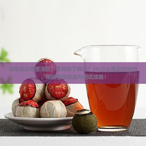 湖南省云南普洱茶