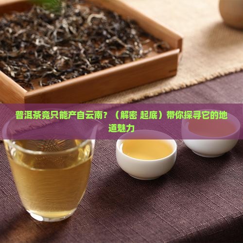 普洱茶只产云南