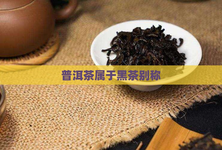普洱茶别称属黑茶