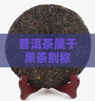 普洱茶别称属黑茶