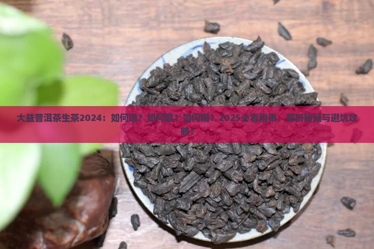 大益普洱茶生茶2024