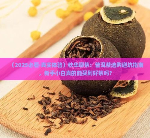 秋华聊茶普洱茶
