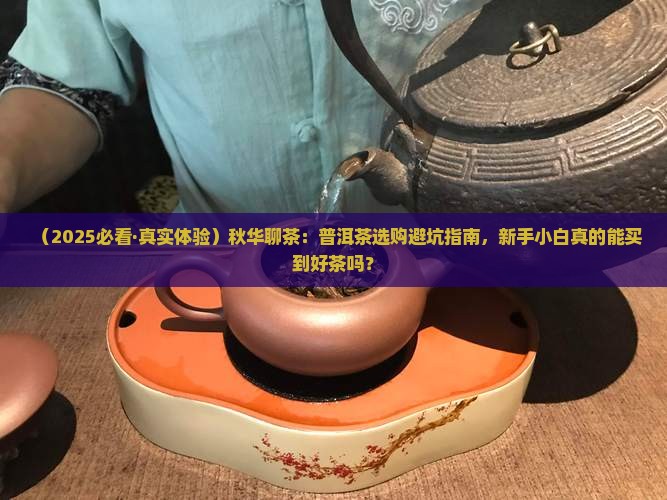 秋华聊茶普洱茶