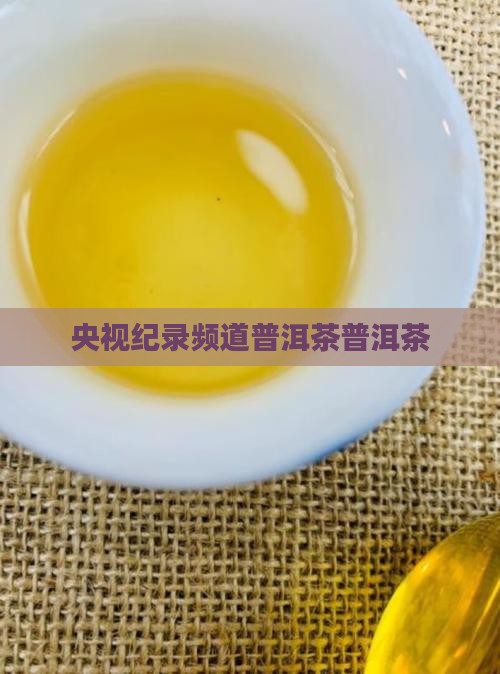 纪录频道普洱茶