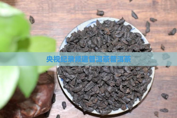 纪录频道普洱茶
