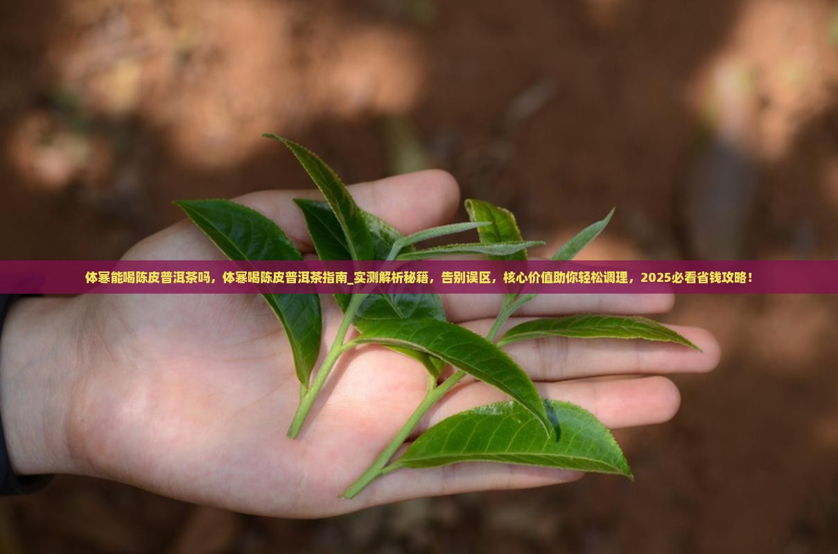 体寒能喝陈皮普洱茶吗