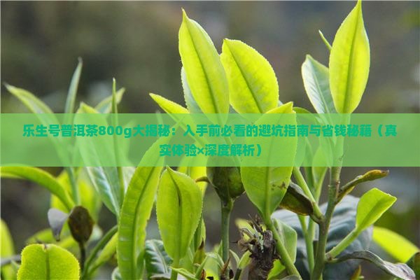 乐生号普洱茶800g