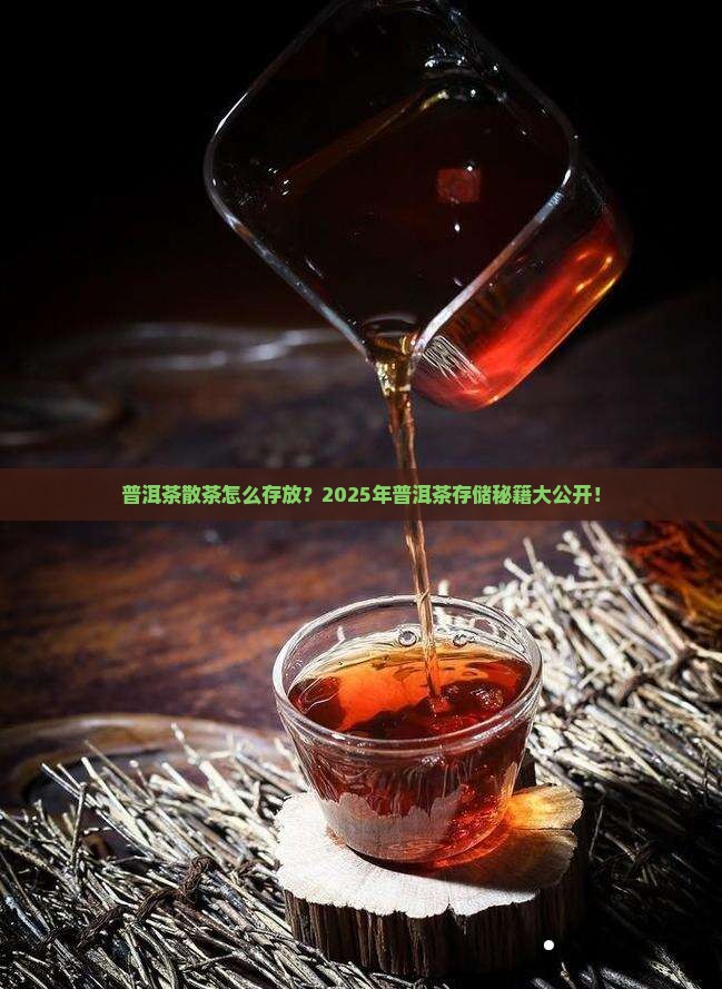 普洱茶散茶怎么存放