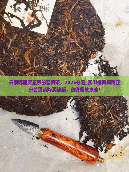 云南哪里买正宗的普洱茶
